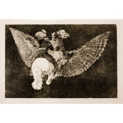 "Disparate volante" T-shirt "Disparate volante" T-shirt