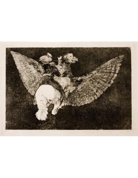 "Disparate volante" T-shirt