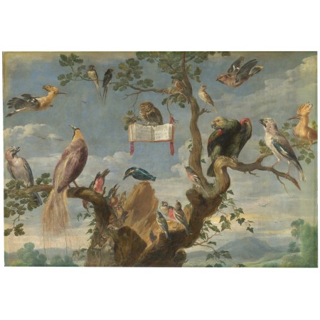 Estuche de gafas "Concierto de aves"