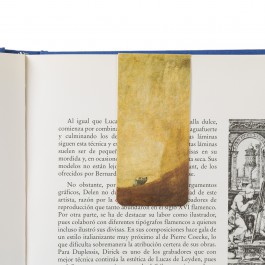Marcapáginas magnético... 2