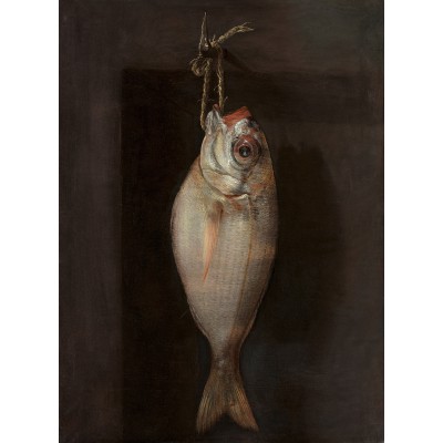 "Red Bream" recipe notebook (Arte Down)