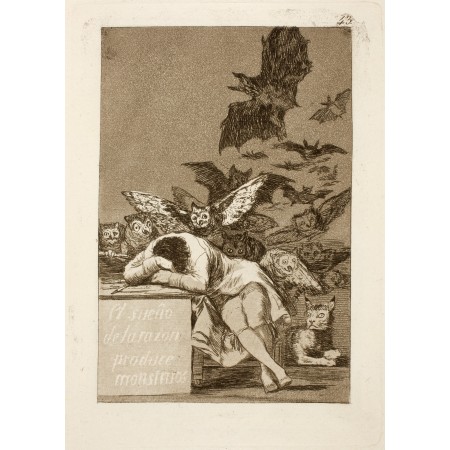 "The Sleep of Reason" Notebook