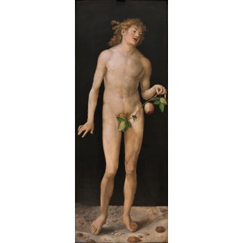 "Adam" magnet 2