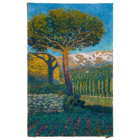 "The Pine at Béjar" Fan