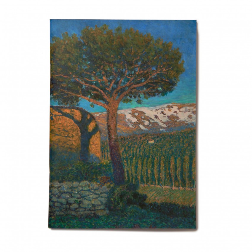 "The Pine at Béjar" notebook "The Pine at Béjar" notebook