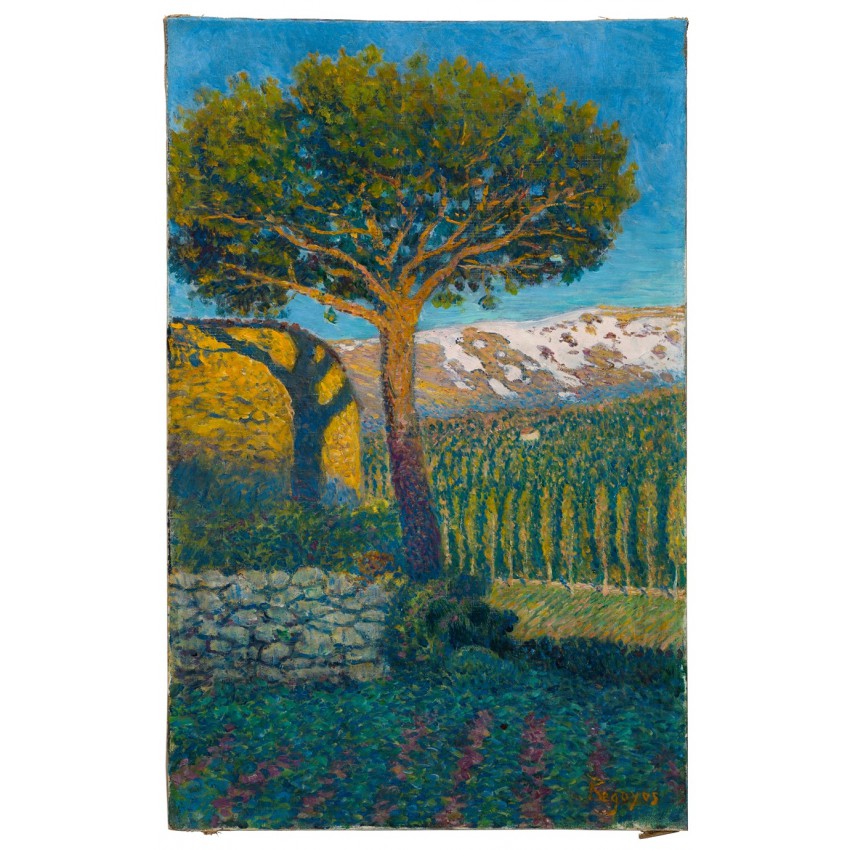 Cuaderno con imán "Pino de Béjar"