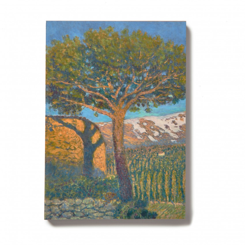 Cuaderno con imán "Pino de Béjar"