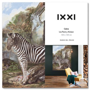 IXXI sistema de decoración... 2