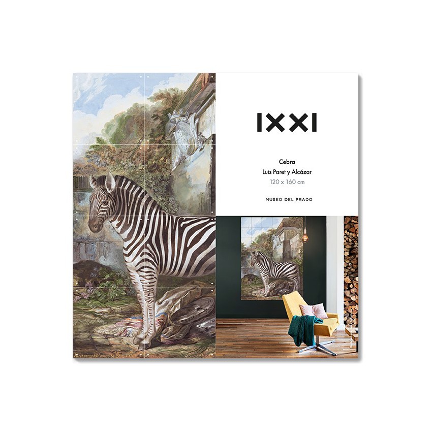 "Zebra" IXXI decorative wall system