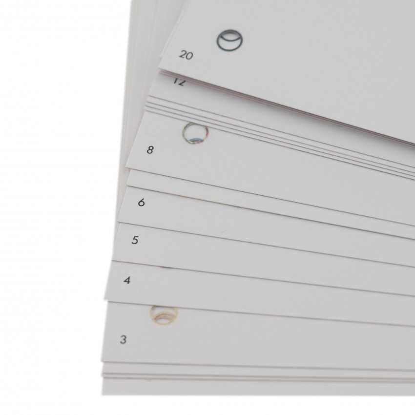 "Zebra" IXXI decorative wall system