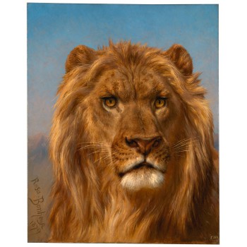 Bolsa "Animales del Prado" 2