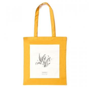 Bolsa "Florero"