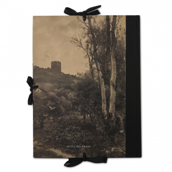 "View of the castle"... 2