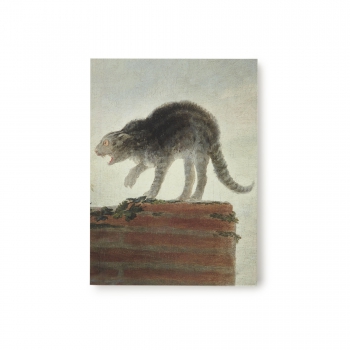 Cuaderno "Riña de gatos"