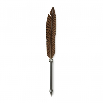 Pen pheasant feather dark