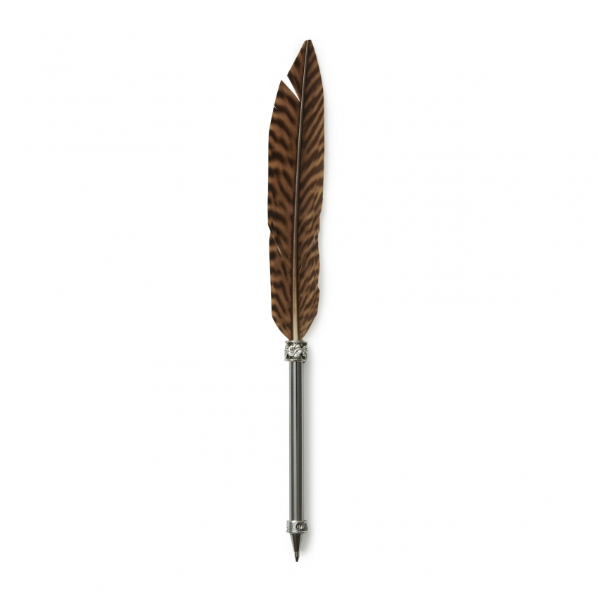 Pen pheasant feather dark