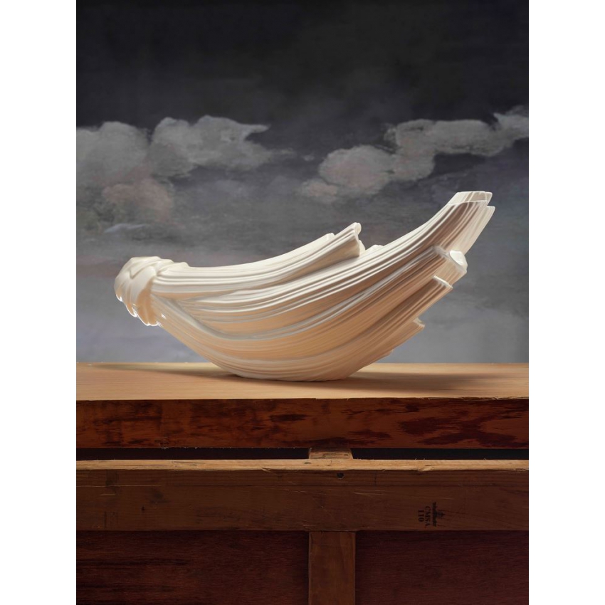 Centro de mesa cardo "Colección...