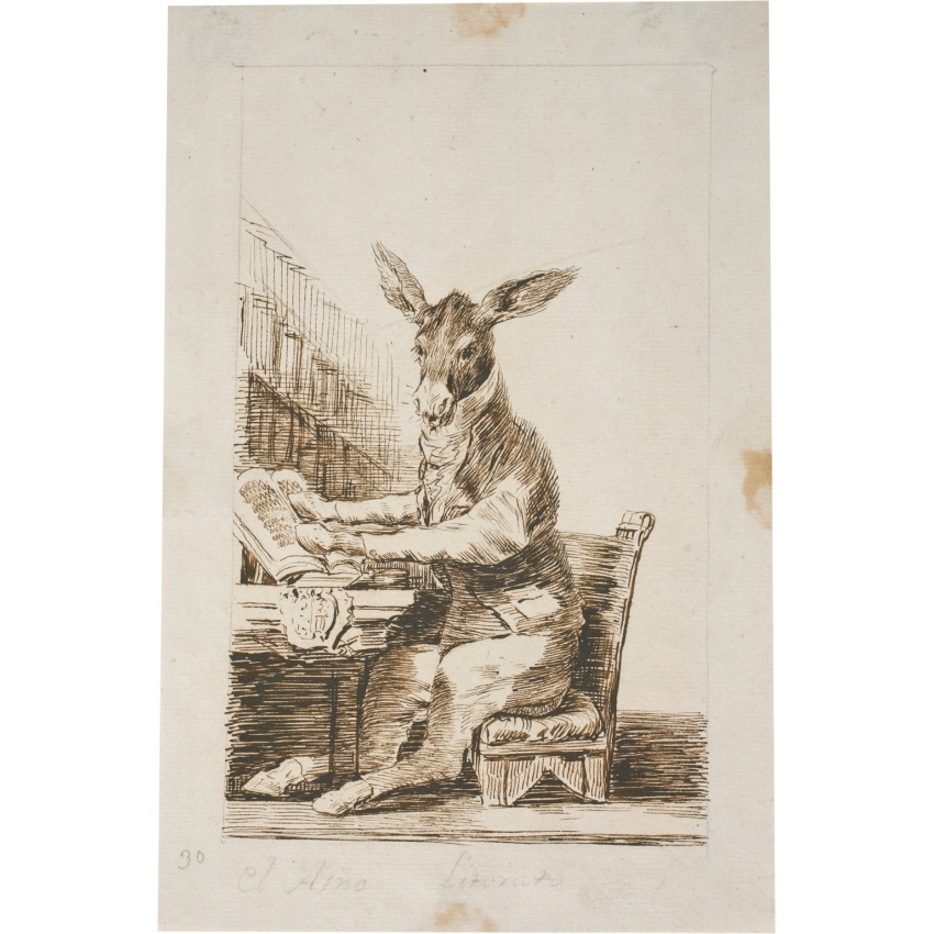 Paño de cocina "El Asno Literato"