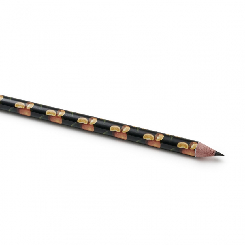 Lápiz colección Bodegón Lápiz colección Bodegón