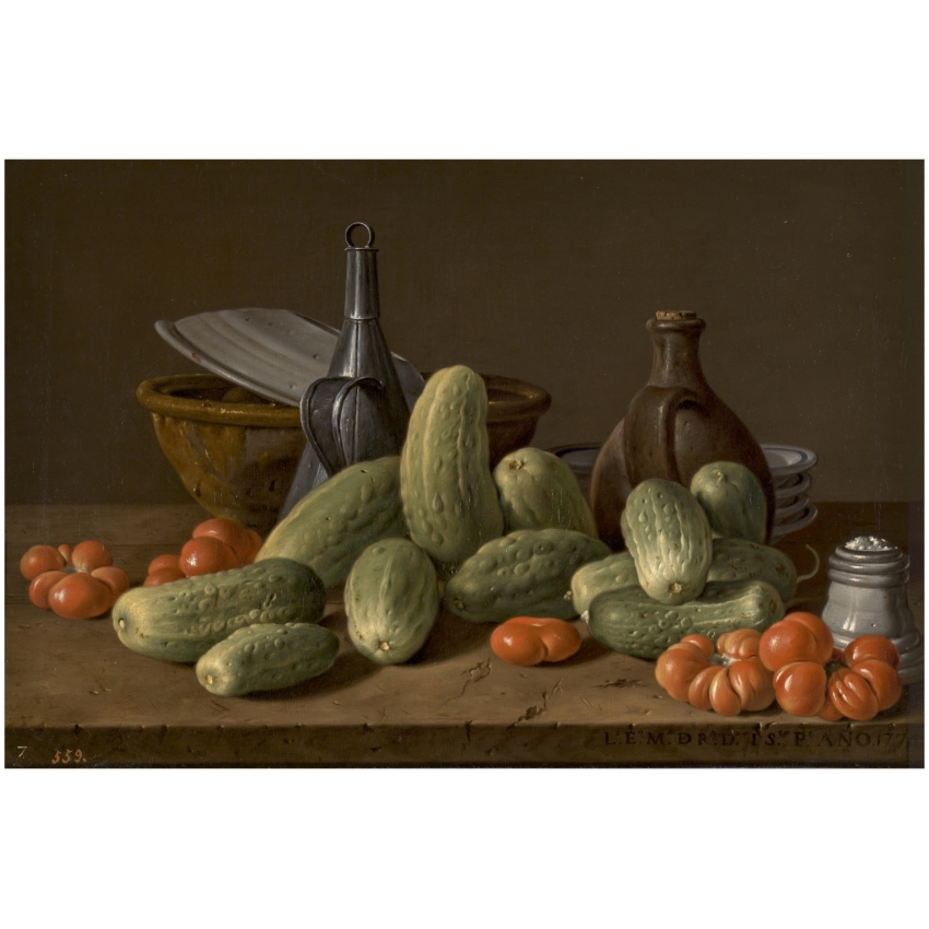 Still Life collection magnetic notebook