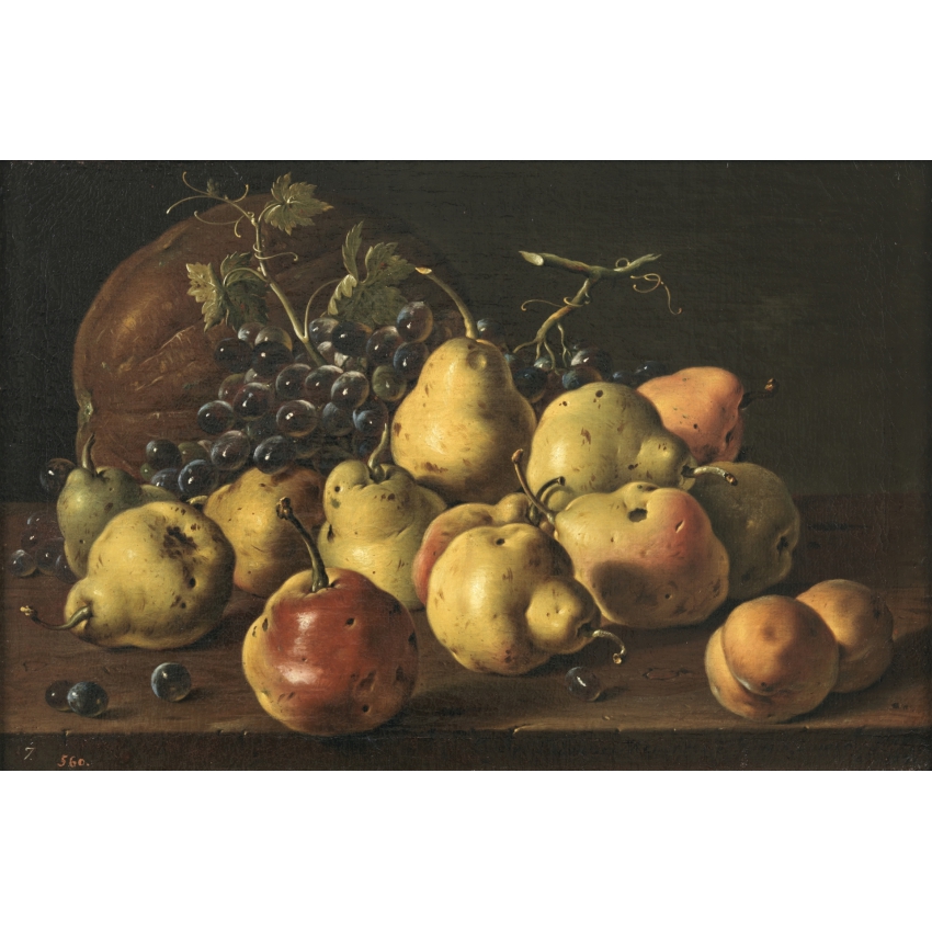 Still Life collection magnetic notebook