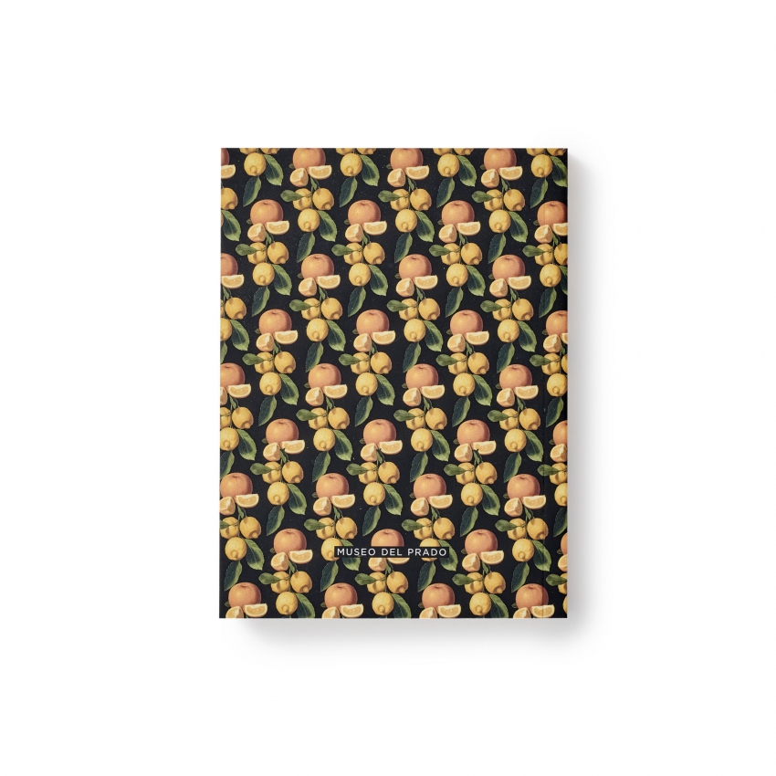 Still Life collection A6 notebook