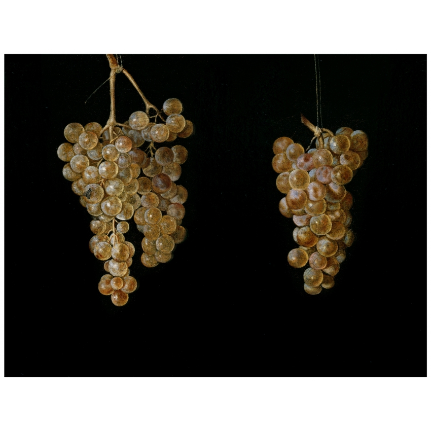 Still life collection placemat