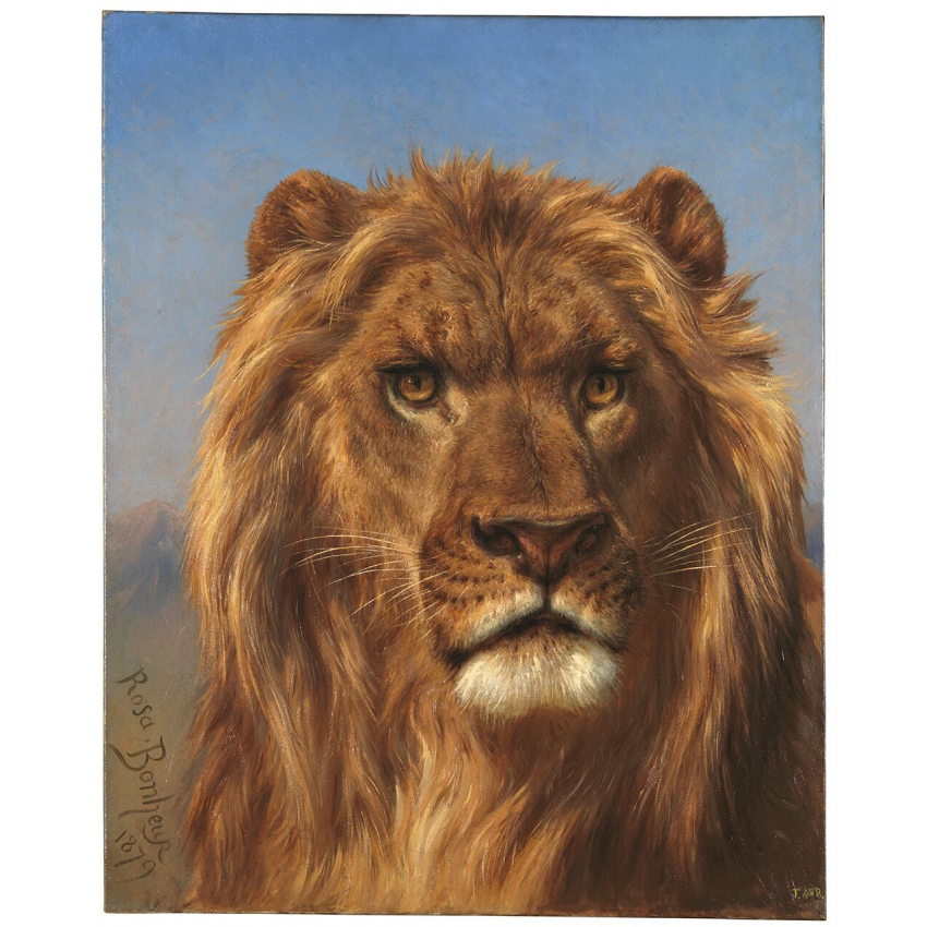 Bolsa "El Cid" Bolsa "El Cid"