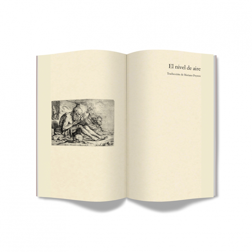 "El nivel del aire", de Chloe Aridjis "El nivel del aire", de Chloe Aridjis