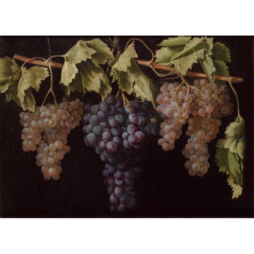"Still Life with four Bunches of... "Still Life with four Bunches of...