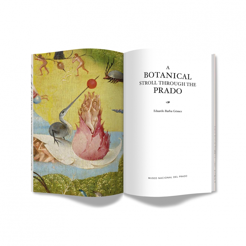 A Botanical Stroll through the Prado