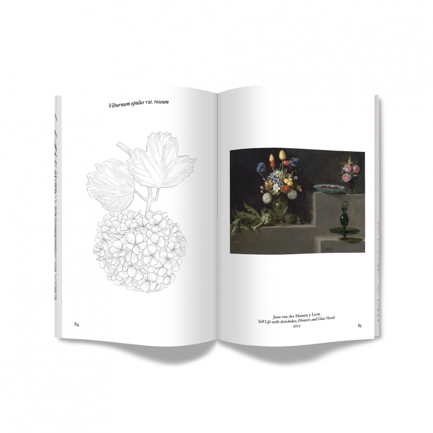 A Botanical Stroll through the Prado