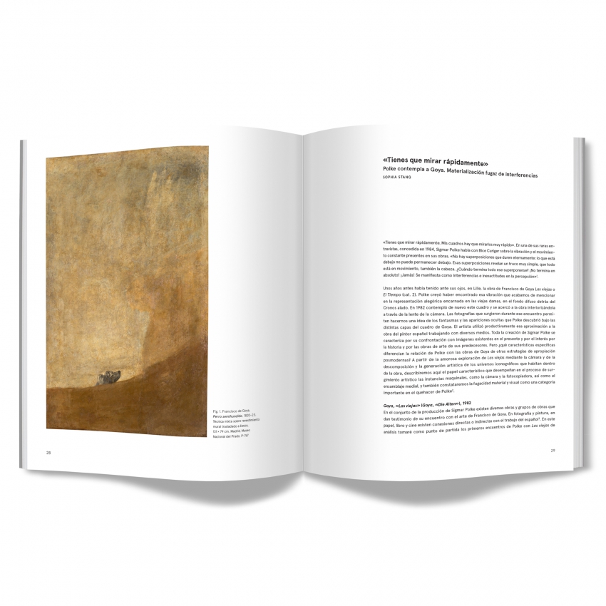 Sigmar Polke. Afinidades desveladas Sigmar Polke. Afinidades desveladas