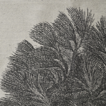 "Image of the Virgen del... 2