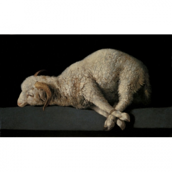 Agnus Dei