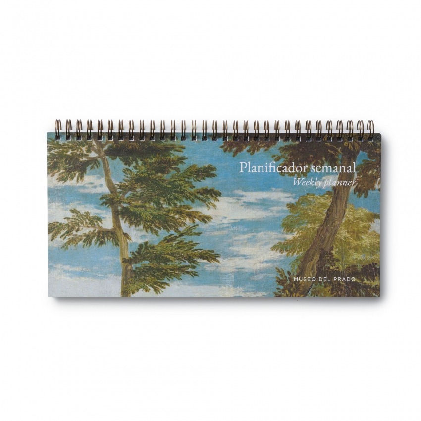 Planificador semanal “Moisés salvado...