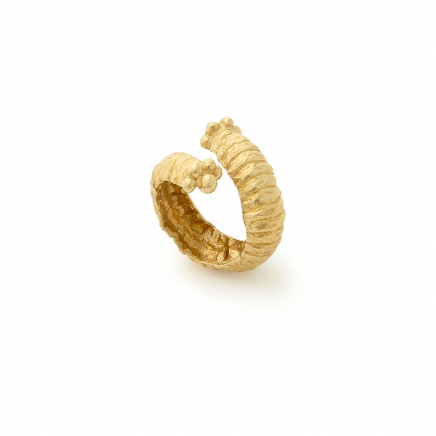 Veronese ring