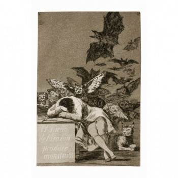 El sueño de la razón...