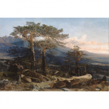 Un paisaje del Guadarrama