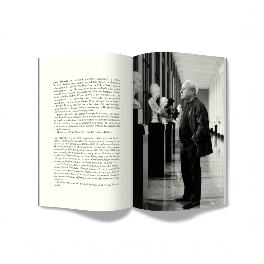 "El ojo del pintor", de John Banville