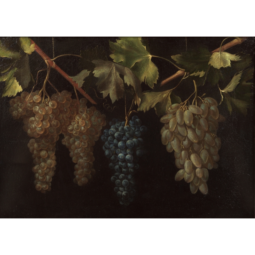 "Still Life with four Bunches of...