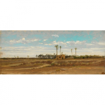 Un bosque de palmeras (Elche)