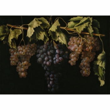 Bodegón con cuatro racimos...