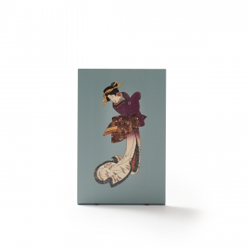 Sujetalibros colección...