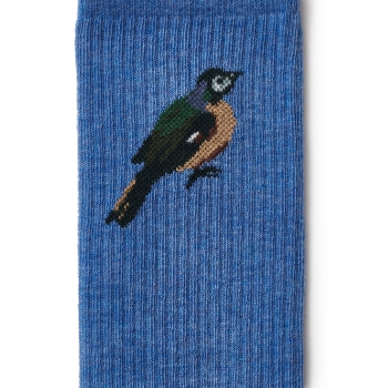 Prado Collection socks (blue) 2