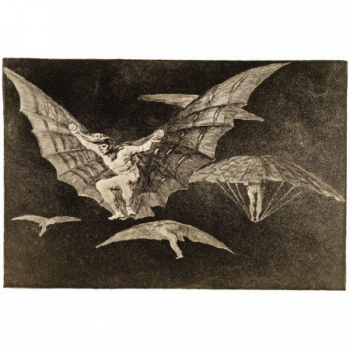 Disparate 13: Modo de volar