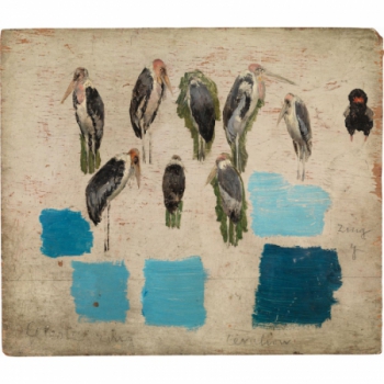 Estudio de marabúes