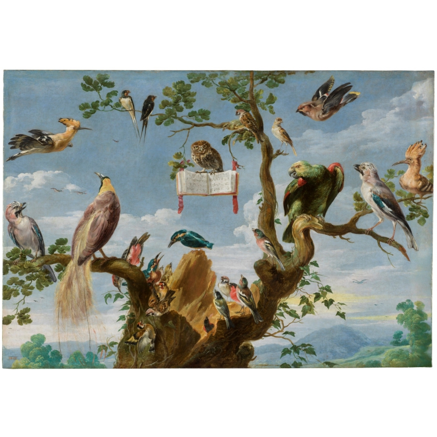 Funda de gafas "Concierto de aves"