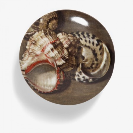 Clara Peeters Porcelain Box