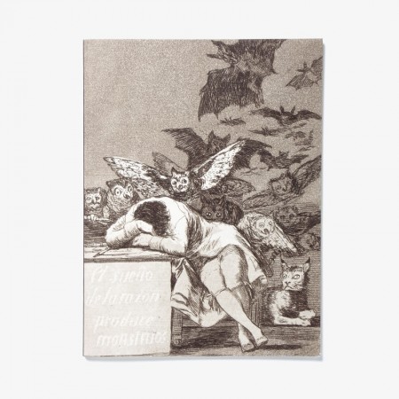 "The Sleep of Reason" Notebook
